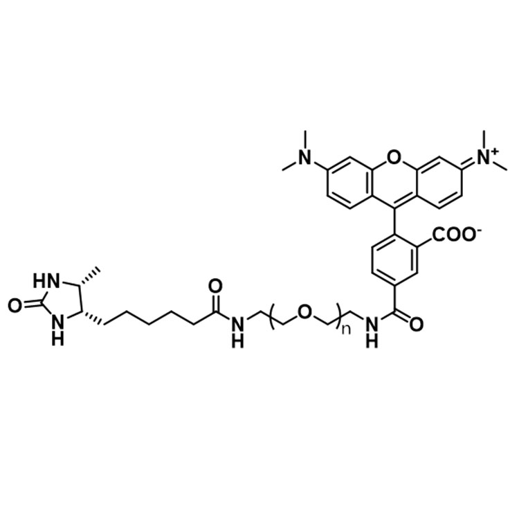 Desthiobiotin-PEG-Rhodamine，Desthiobiotin-PEG-RB，MW：10000